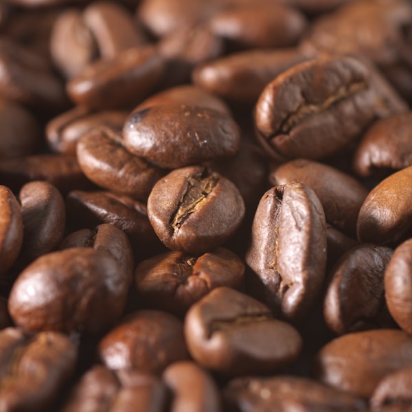 Programmable Coffee Maker