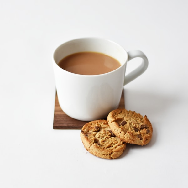 Electric Gooseneck Kettle